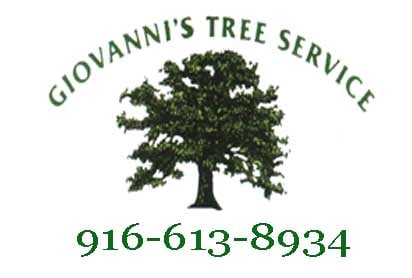 Avatar for Giovanni's Tree Service